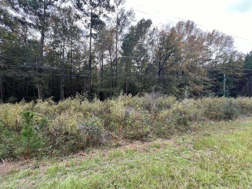 Owens Drive, Conyers, Georgia