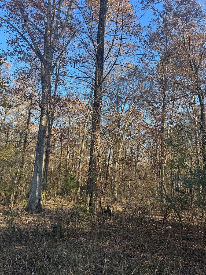 2661 Oakley Trail, Statham, Georgia