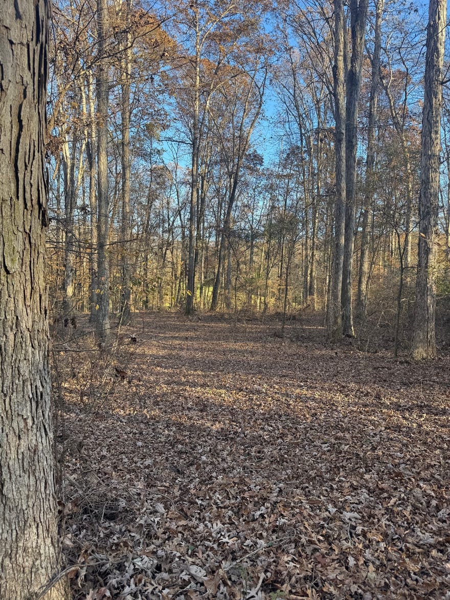 1475 Whispering Way, Statham, Georgia