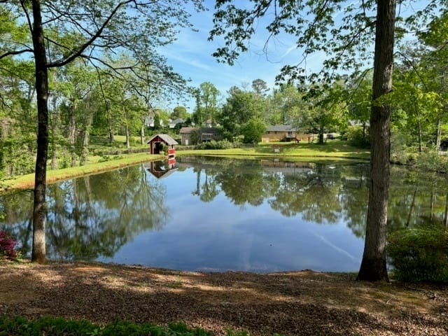 117 Mixon Street, Griffin, Georgia