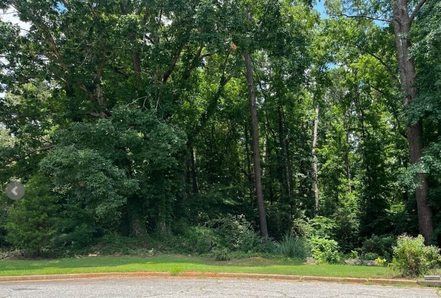 150 Kylemore Pass, Tyrone, Georgia