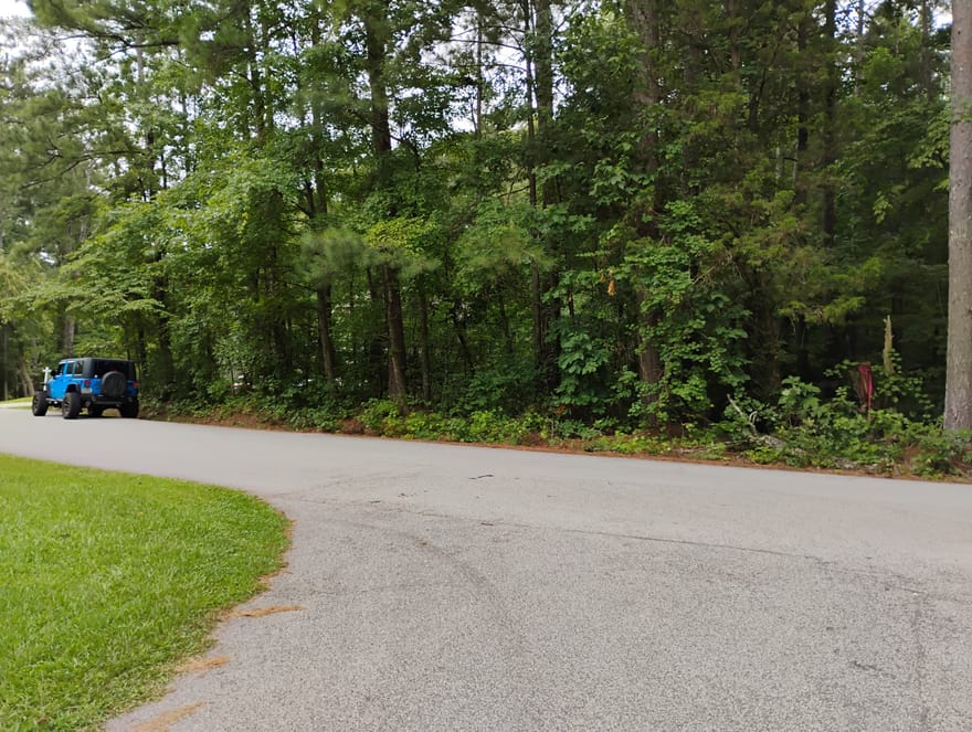 1157 Magnolia Drive, Villa Rica, Georgia