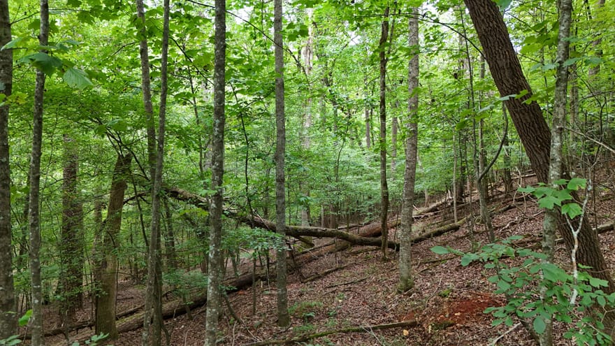 LOT 16 Morris Trail, Cleveland, Georgia