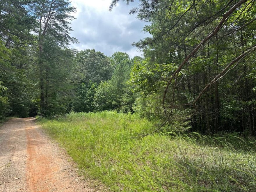7-/+ Charlie Lemley Road, Dawsonville, Georgia
