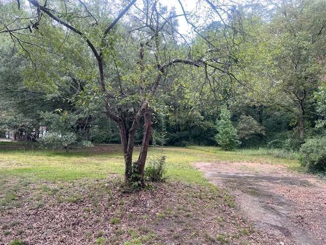 709 Ridge Avenue, Stone Mountain, Georgia