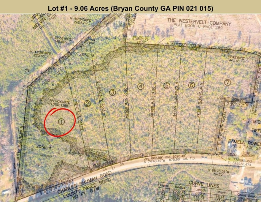 LOT 1 Charles Shuman Road, Pembroke, Georgia