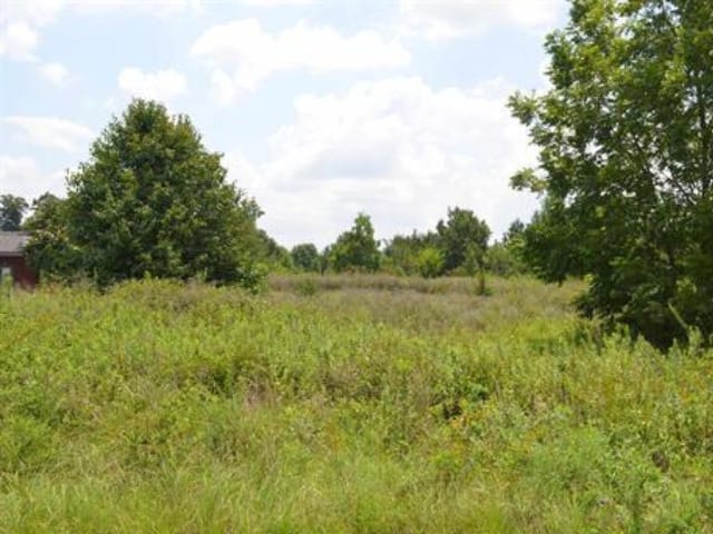 Gunn Road, Byron, Georgia