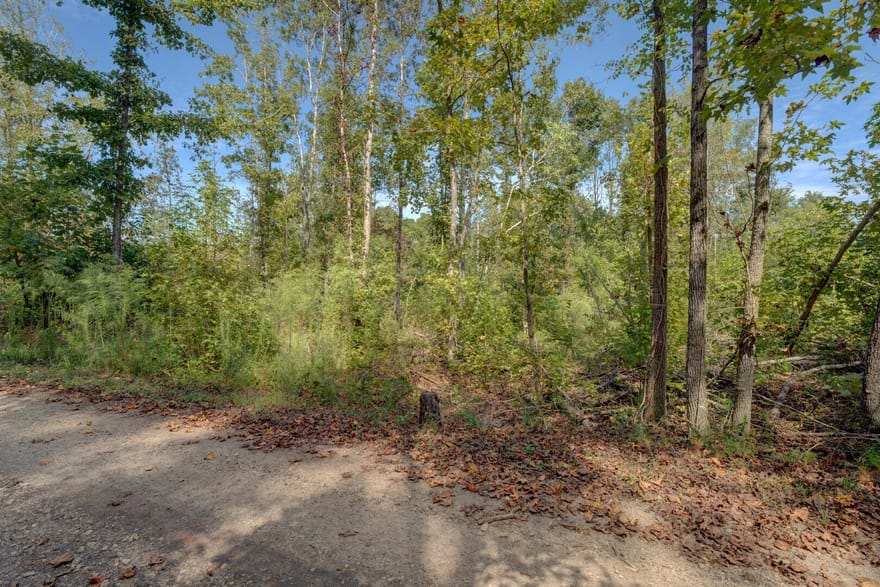 Rocky Creek Road, Mansfield, Georgia