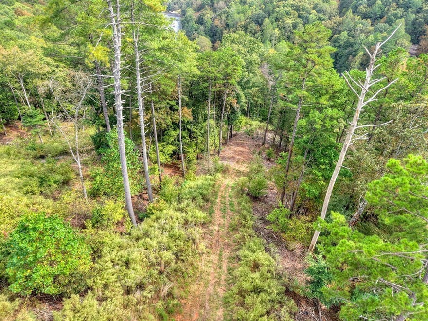 LT 269 River View Trail, Ellijay, Georgia