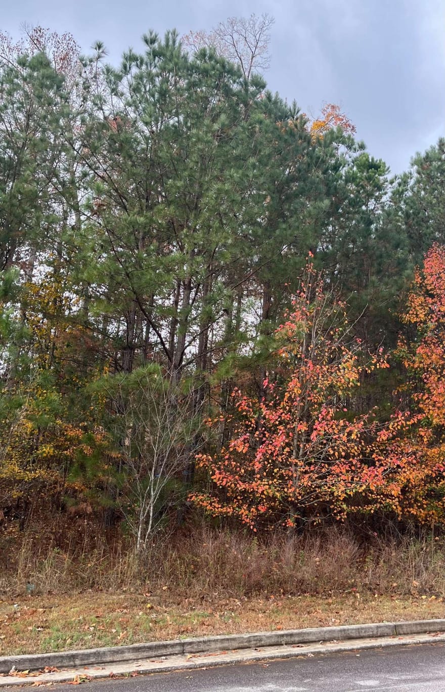 1075 Falkirk Lane, Stone Mountain, Georgia