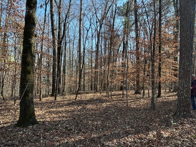 331 Worsham Road, Culloden, Georgia