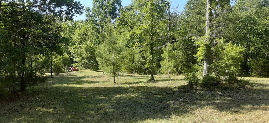 Delhi Road, Tignall, Georgia