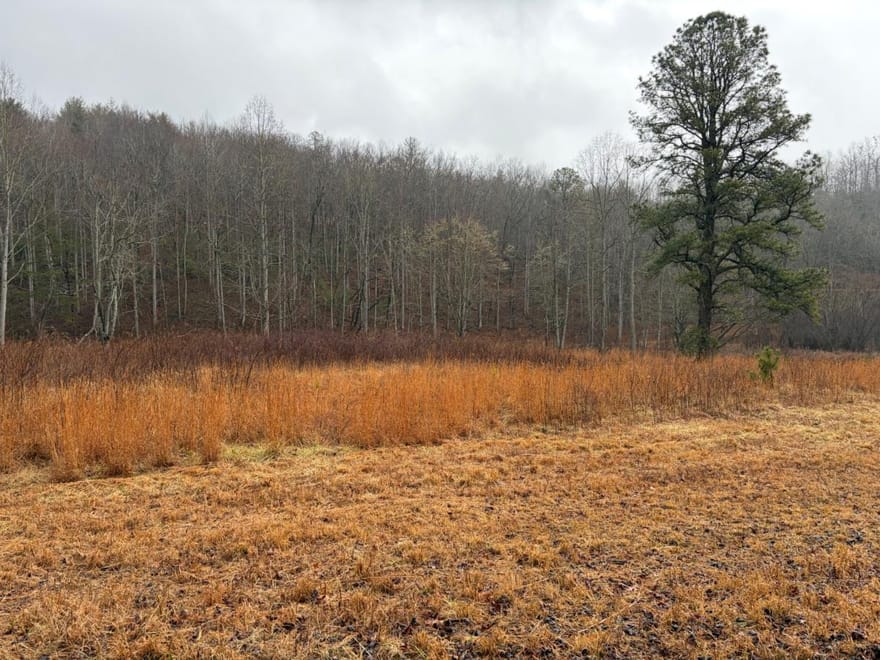 LOT 42 Whisper Woods Road, Hiawassee, Georgia