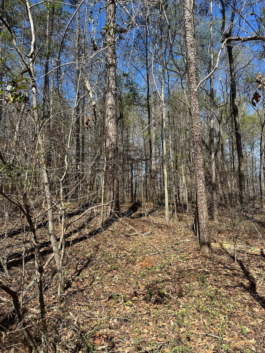 Poplar Mountain Lane, Carnesville, Georgia
