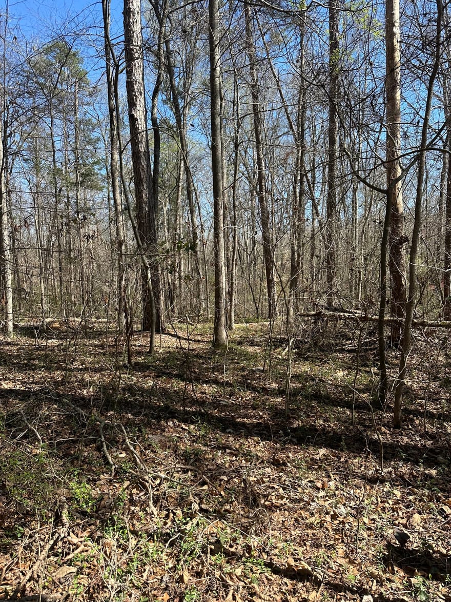 Poplar Mountain Lane, Carnesville, Georgia