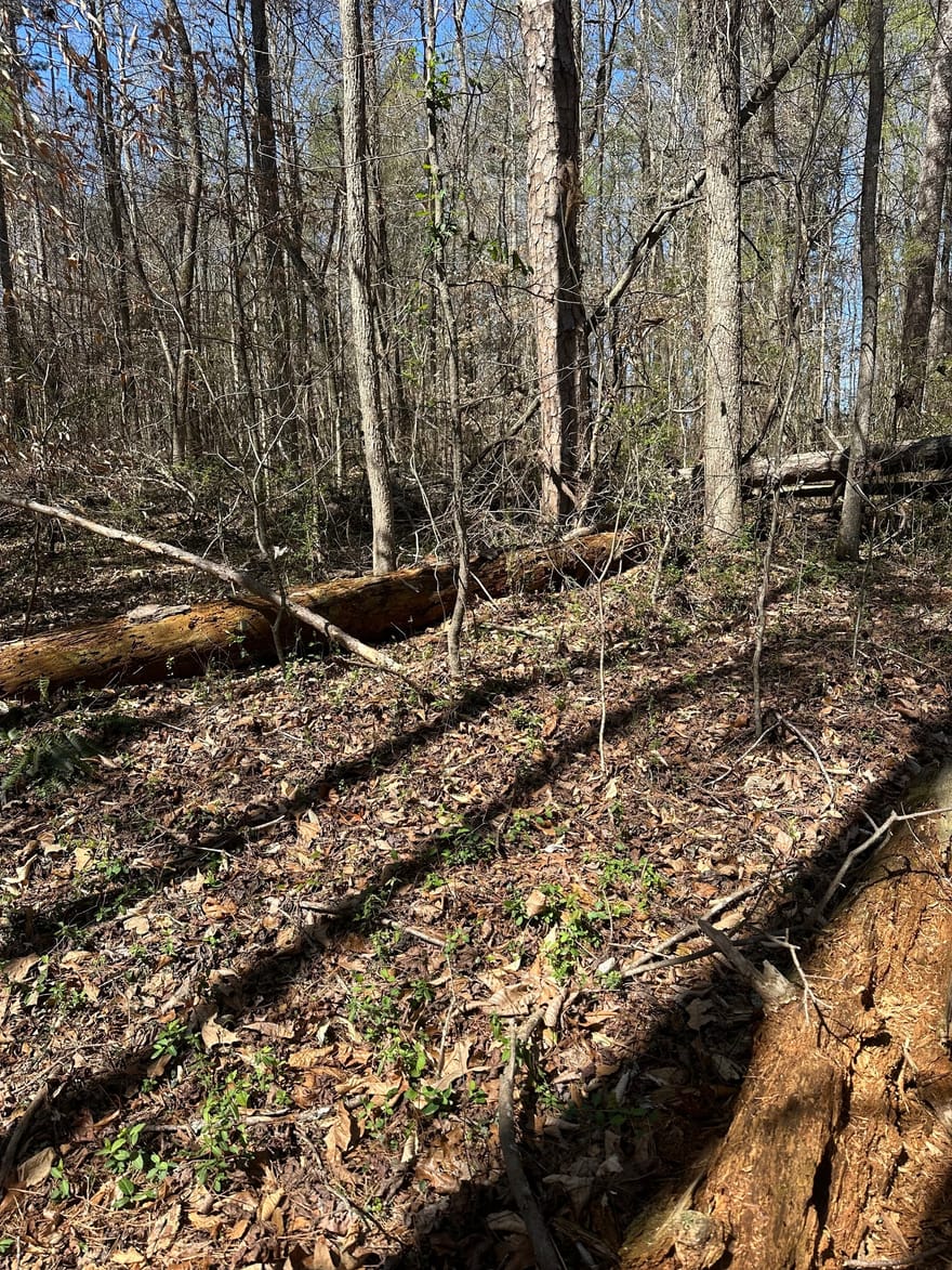Poplar Mountain Lane, Carnesville, Georgia