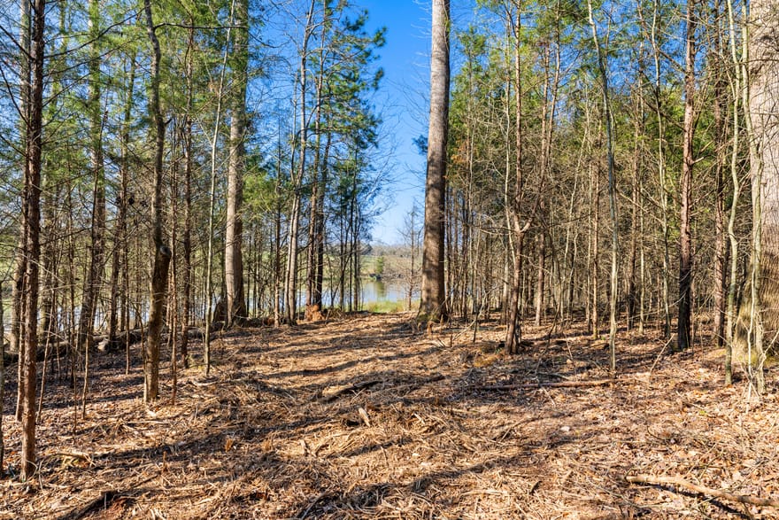 8 Ridgeview Point, Hartwell, Georgia