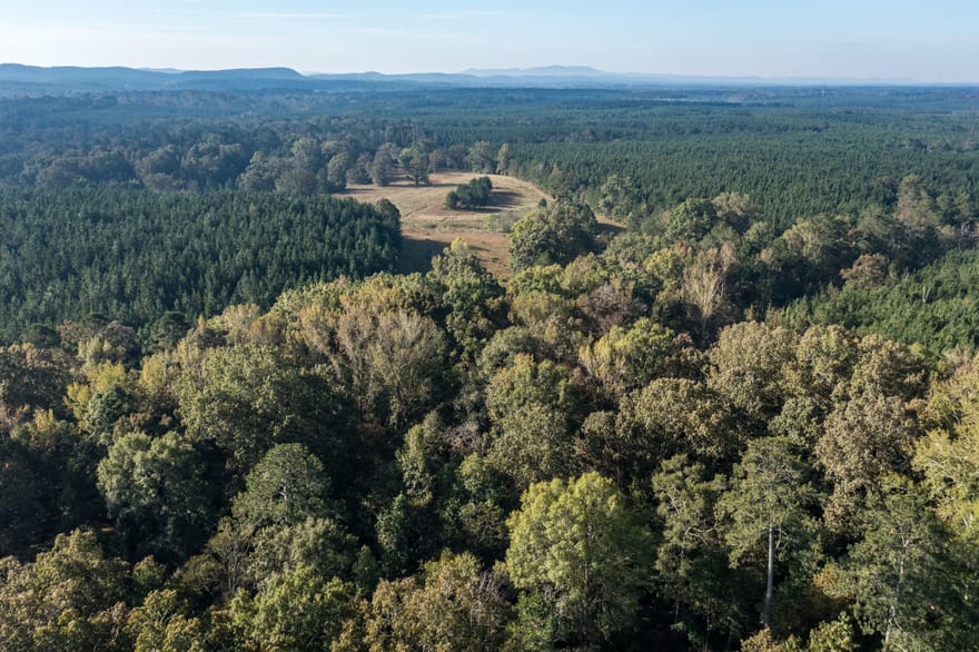 Livingston Road, Rome, Georgia