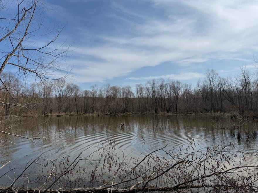 Livingston Road, Rome, Georgia
