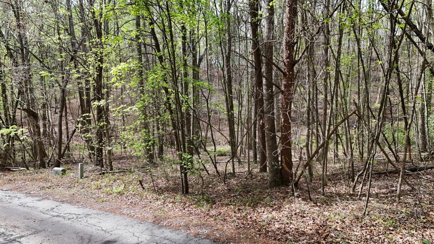 Shenandoah Drive, Cleveland, Georgia