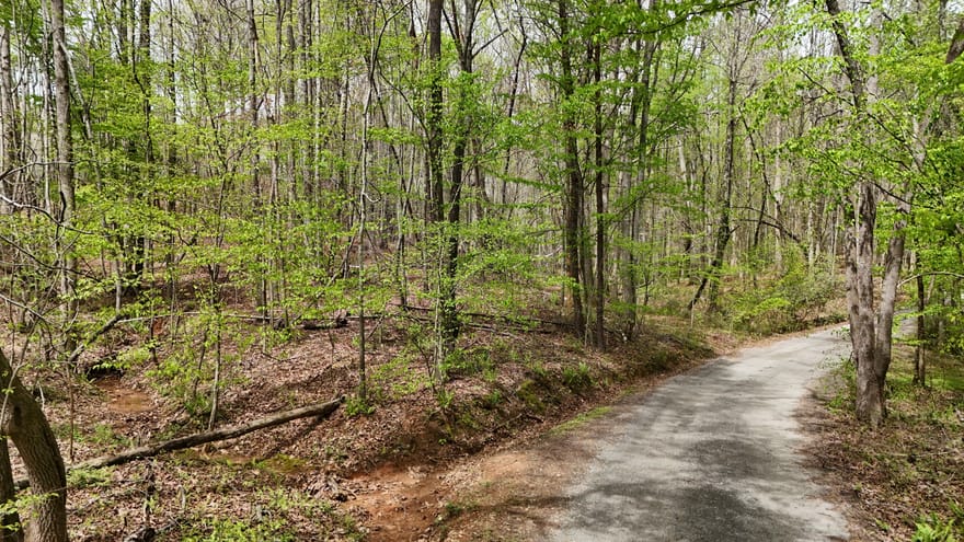 Shenandoah Drive, Cleveland, Georgia