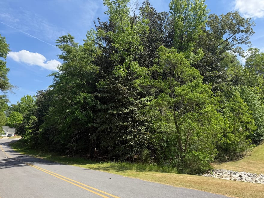 LOT 19-20 Wedgewood Drive, Sandersville, Georgia