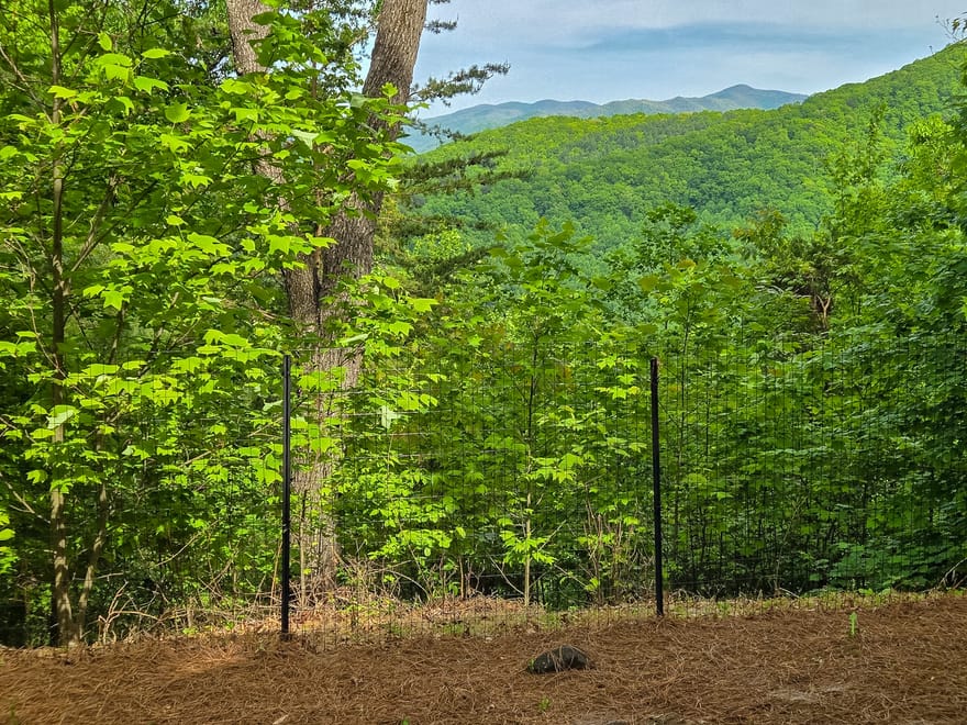 1900 Long Ridge Road, Hiawassee, Georgia