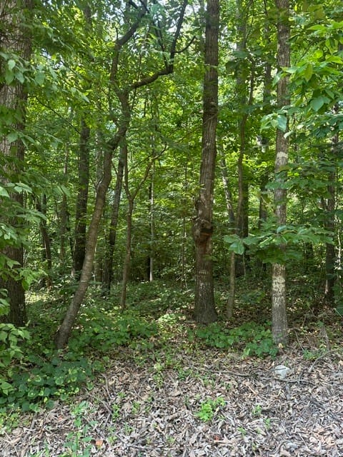 LOT 144 Lewis Drive, Lavonia, Georgia