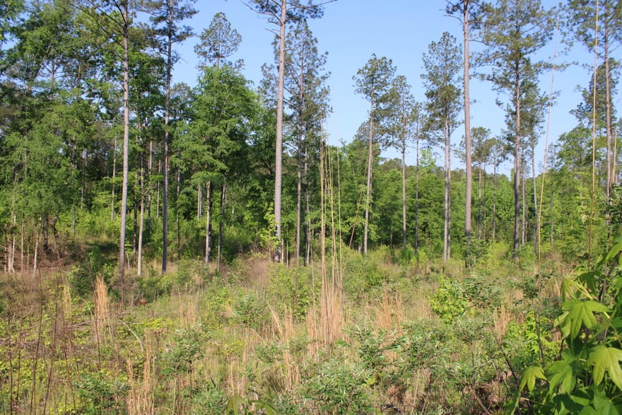 Ga Hwy 87 Tract 1, Forsyth, Georgia