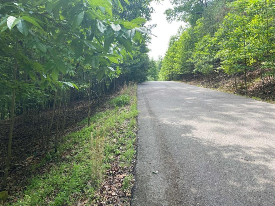 LOT 11 Brumby Run, Blairsville, Georgia