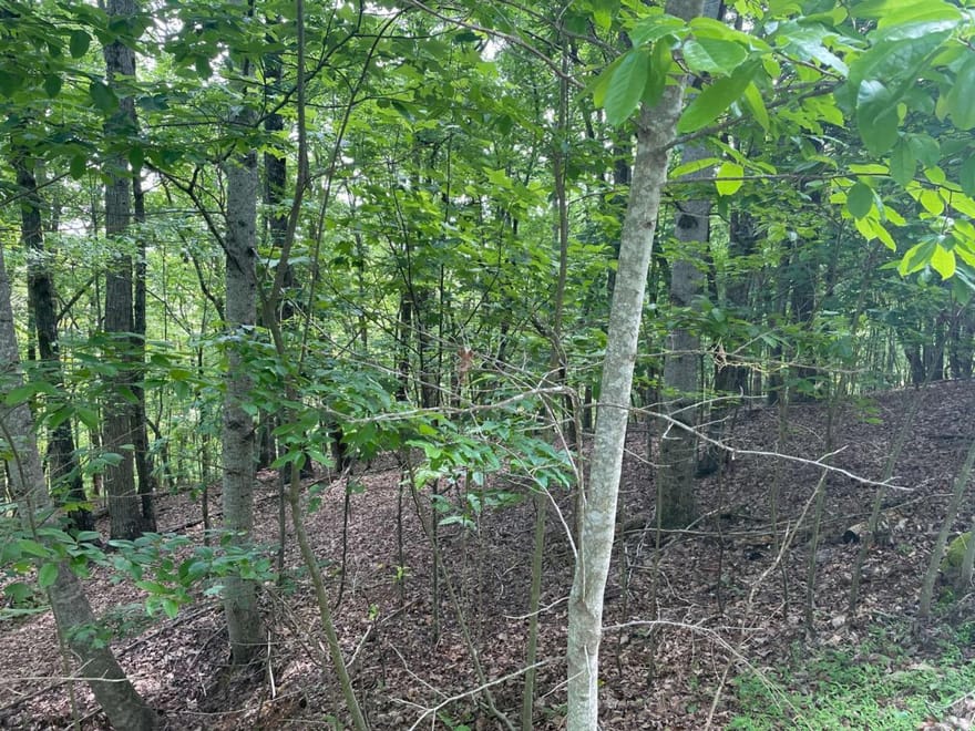 LOT 11 Brumby Run, Blairsville, Georgia