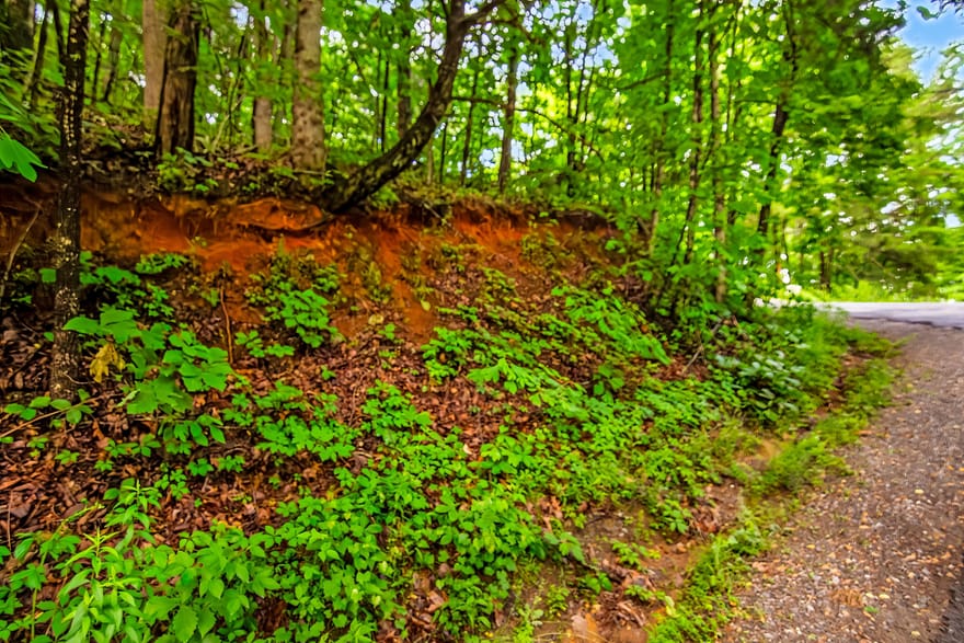 5.58 Gobbler Knob Drive, Ellijay, Georgia