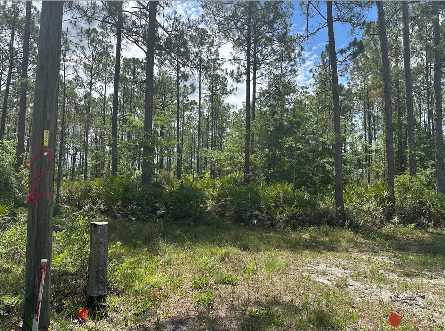 57 Lakeview Drive, Folkston, Georgia