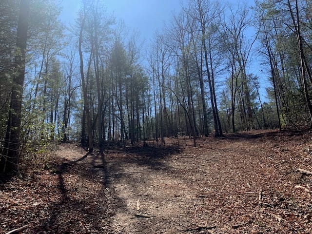 East New Hope Road, Ellijay, Georgia