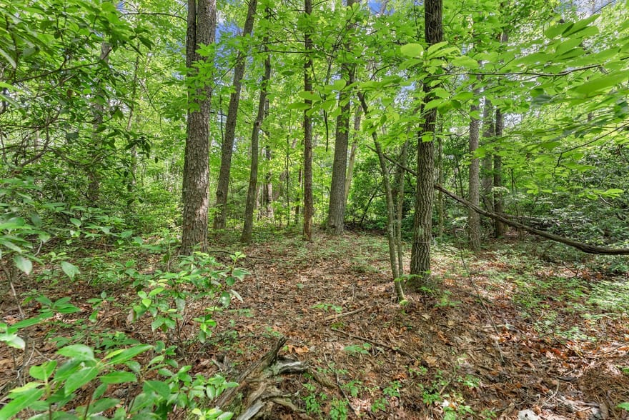 Sweetheart Lane, Sautee Nacoochee, Georgia