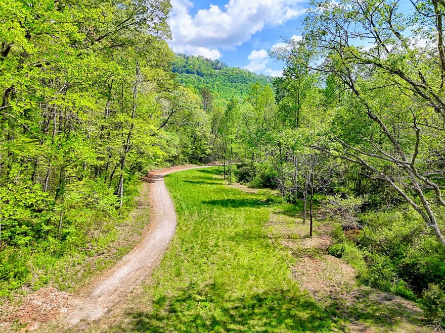 Highway 246, Dillard, Georgia
