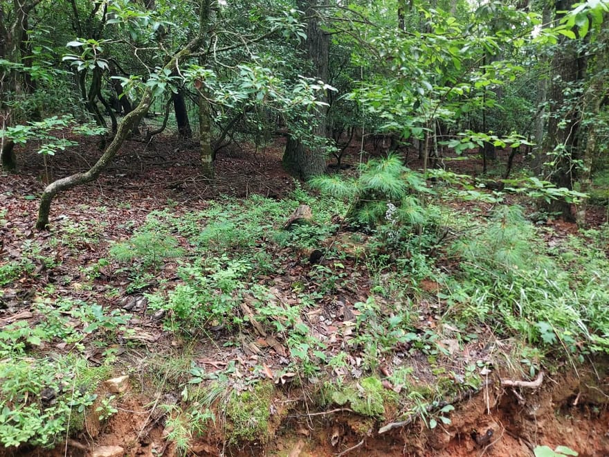 0 LOT 1A Wexford Way, Lakemont, Georgia
