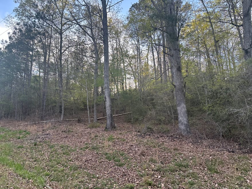 1141 Skipstone Drive, Watkinsville, Georgia