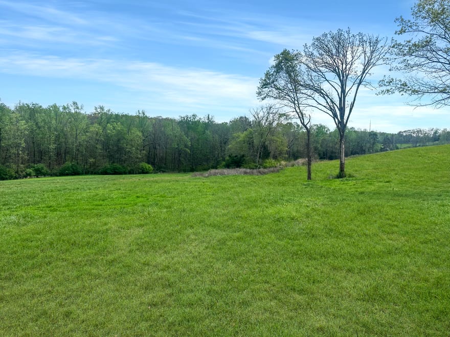 Gooseneck Road, Eastanollee, Georgia