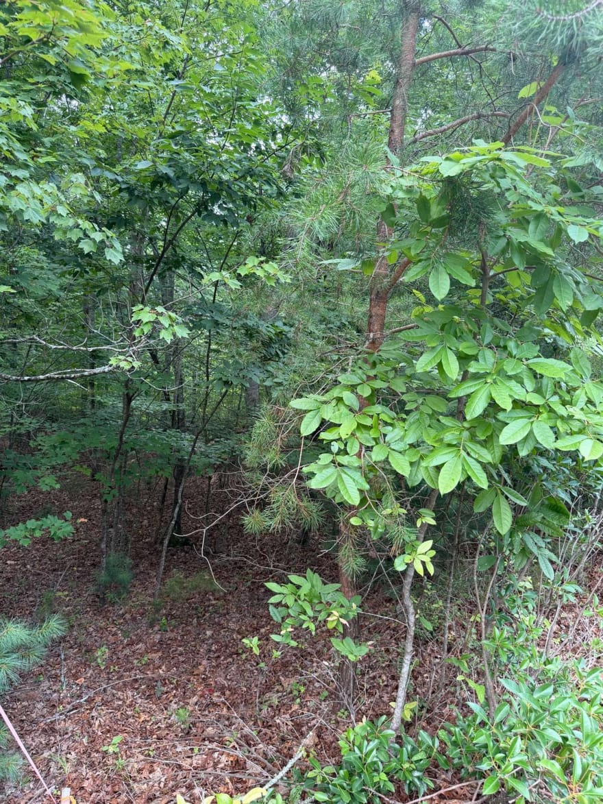 13 Pinnacle Court, Blairsville, Georgia