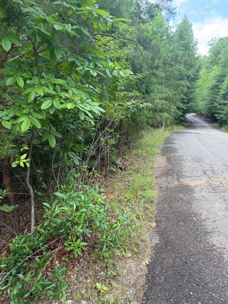13 Pinnacle Court, Blairsville, Georgia