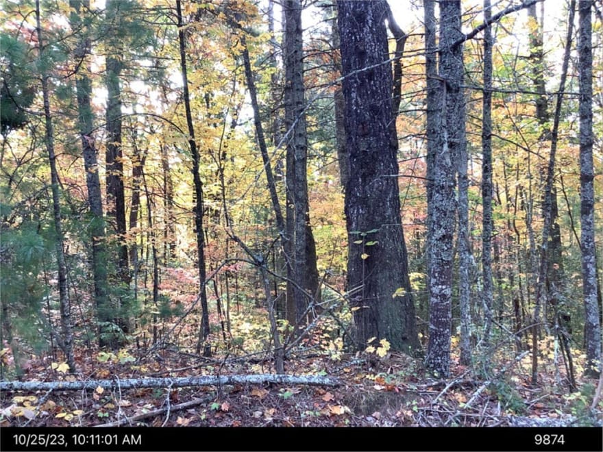 Andros Court, Ellijay, Georgia