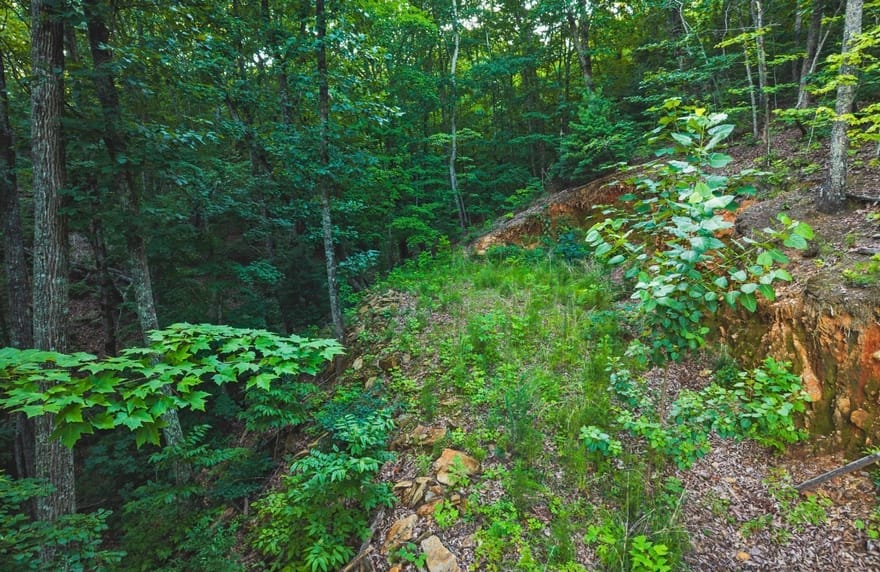 LT 760 Morton Drive, Ellijay, Georgia