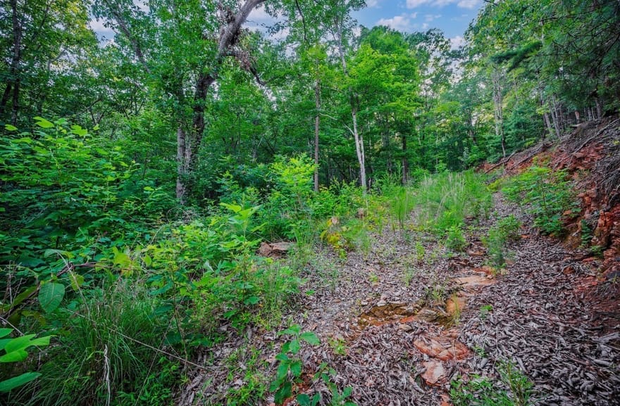 LT 760 Morton Drive, Ellijay, Georgia