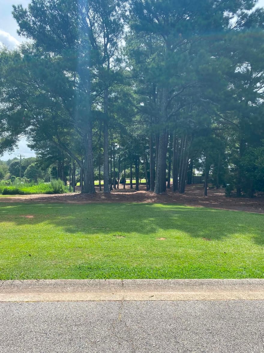 Magnolia Drive, Winder, Georgia