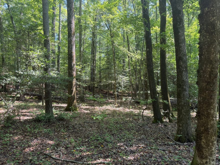 Hulmes Chapel, Elberton, Georgia