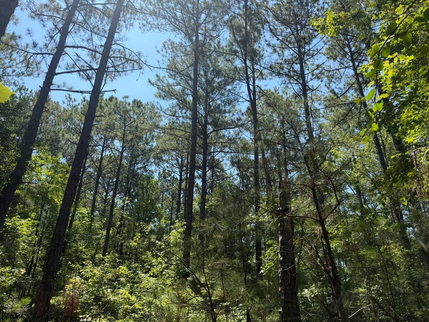 Ruckersville Road, Elberton, Georgia