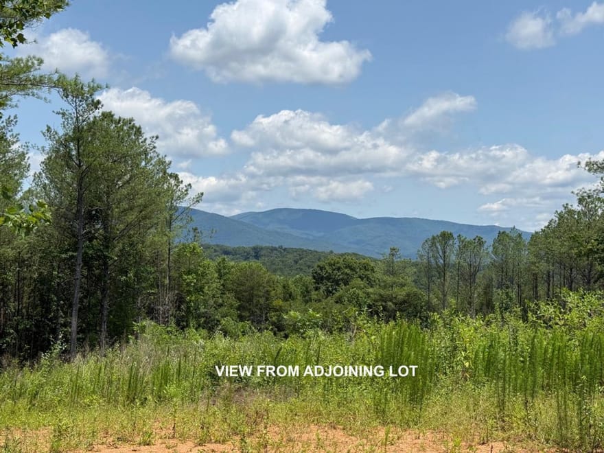 LOT E9 Reece Mountain Road, Ellijay, Georgia