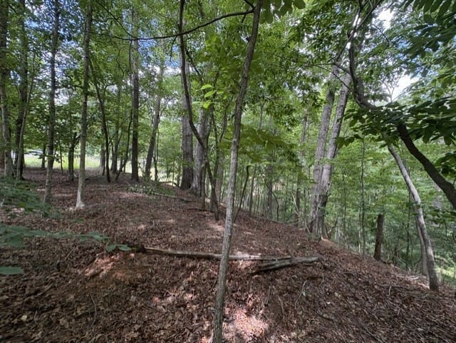 LOT 16 Calhoun Road, Dahlonega, Georgia