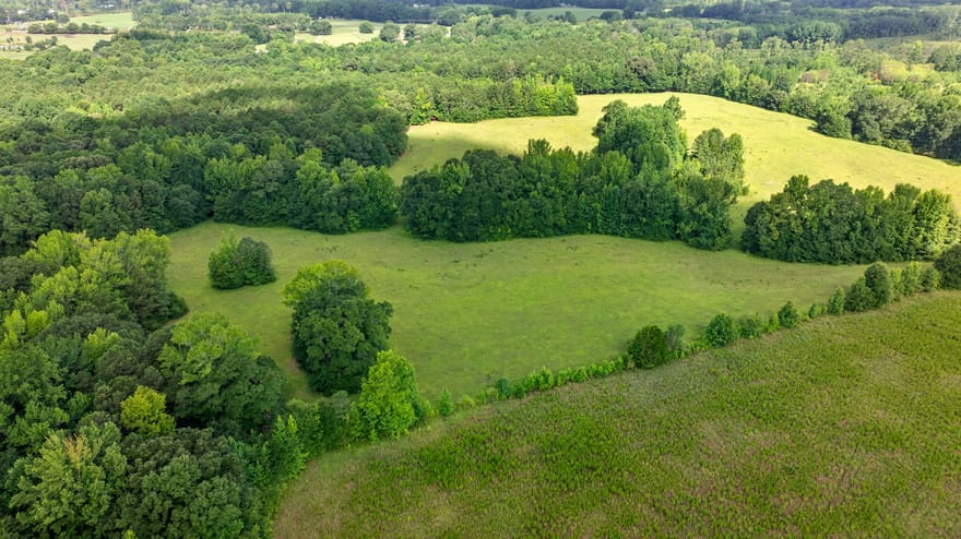 Ray Road, Gay, Georgia